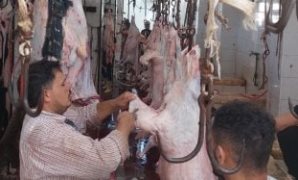 ذبح الأضاحى - صورة أرشيفية