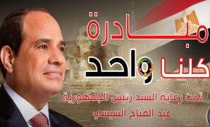 برلمانى: ثورة 30 يونيو حافظت على الدولة المصرية ومؤسساتها وحققت التنمية الشاملة