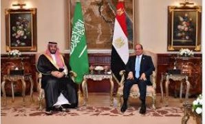 مصر والسعودية تؤكدان أهمية تعزيز التعاون في مجال كفاءة الطاقة