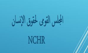 القومى لحقوق الإنسان": تلقينا 8 شكاوى من أهالى مصريين فى الخارج بسبب انقطاع أخبار أبنائهم 