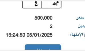 سعرها وصل 500 ألف جنيه.. منافسة على لوحة سيارة "م هـ - 4" المميزة