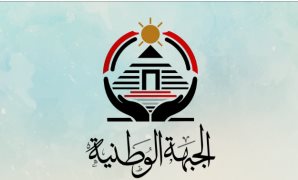 وزير الخارجية: نشهد طفرة كبيرة في الوجود المصري بالقارة الأفريقية