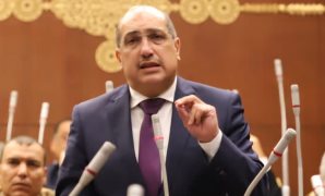 نائب : دعوة الرئيس السيسي لمؤتمر إعمار غزة تعيد بناء الأمل وتكسر الحصار