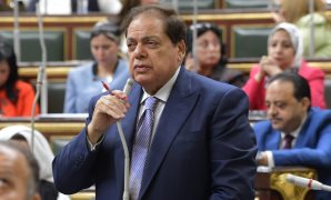 برلمانية بالجلسة العامة: الحكومة تقوم بدورها في إعداد الخطط والبرامج الاقتصادية    