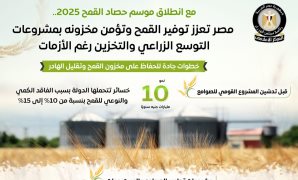 بدء الجلسة العامة لمجلس الشيوخ لمناقشة الأمن السيبرانى