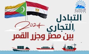 وكيل "الشيوخ" يطالب بتشريع شامل للأمن السيبراني وإنشاء هيئة مستقلة لإدارته