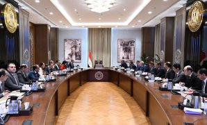 رئيس جمهورية القُمر: نشكر مصر على دعم سيادتنا.. ونثمن مواقف الرئيس السيسى تجاه فلسطين