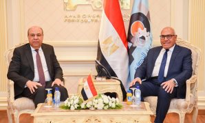 النائب أحمد سمير: مصر تتحرك بخطى محسوبة نحو اقتصاد أكثر شفافية وتنوعًا