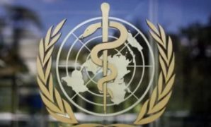 6 معلومات عن عصابة مخدرات غسلت 280 مليون جنيه فى أنشطة مشروعة