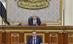أمين "دفاع النواب" يشيد بتعديلات قانون الصيدلة: نقلة نوعية لرفع كفاءة المنظومة الصحية