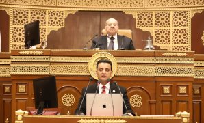 وزيرة التخطيط أمام "الشيوخ" : الحكومة منحازة للقطاع الخاص .. ومصر جاذبة للاستثمارات الأجنبية   