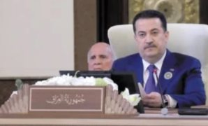 وكيلة الشيوخ تشيد بتوسيع مظلة الحماية الاجتماعية بخطة تنمية مصر 25/26