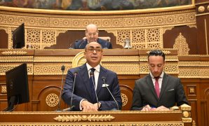 الحكومة: مجلس الشيوخ يطرح قضايا دقيقة تلبى احتياجات المجتمع