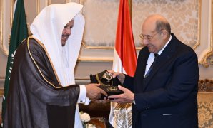الحكومة: مجلس الشيوخ يطرح قضايا دقيقة تلبى احتياجات المجتمع