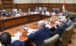 الرئيس السيسى يتابع جهود تلبية احتياجات المواطنين من المواد البترولية