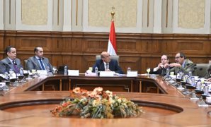 الرئيس السيسى يتابع جهود تلبية احتياجات المواطنين من المواد البترولية