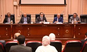 الرئيس السيسى يوجه بمحاسبة المتسببين فى "مشكلة البنزين" واتخاذ التدابير لضمان عدم تكرارها.. اتخاذ إجراءات بشكل مسبق لضمان استقرار التغذية الكهربائية فى فصل الصيف.. وتعزيز الإنتاج المحلى من البترول والغاز