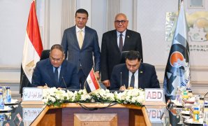 خبير سياسي: مدينة "مستقبل مصر الصناعية" ركيزة لتحفيز الاستثمار وخلق فرص العمل
