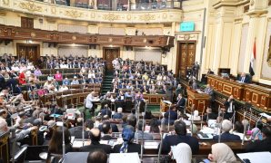 وزير الشئون النيابية: القاهرة تُجرى الترتيبات اللازمة لعقد القمة المصرية - الأوروبية