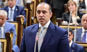 النائبان أحمد فرغلى والشرقاوى يرفضان تعديلات قوانين الانتخابات ويطالبان بالقائمة النسبية