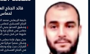 جاموسة أون لاين.. كيف ضمن المشرع شراء الأضاحى والمنتجات والسلع بالتسويق الإلكتروني؟.. 5 شروط للتعاقد عن بعد.. و2 مليون جنيه عقوبة رسالة "السعر أنبوكس".. والرجوع في "البيعة" خلال 14 يوماً من استلام السلعة