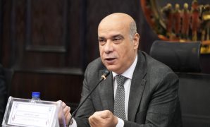 "مستقبل وطن" يعلن الانتهاء من إنشاء أول منصة متكاملة لدعم رواد الأعمال والإطلاق الرسمى قريبًا