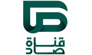 حبس وغرامة عقوبة مزاولة نشاط تمويل المشروعات المتوسطة والصغيرة بدون ترخيص  