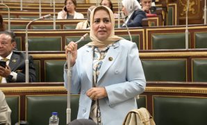 النائبة سحر صدقى: مصر تستعد للاستحقاقات النيابية وسط تحديات توترات إقليمية كبيرة