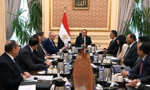 زراعة النواب تناقش تحويل الرى التقليدى للحديث وخطة الدولة نحو ترشيد الاستهلاك المياه  