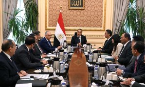زراعة النواب تناقش تحويل الرى التقليدى للحديث وخطة الدولة نحو ترشيد الاستهلاك المياه  