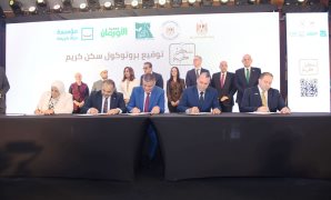 وكيلة الشيوخ: بناء الإنسان المصرى أولوية الجمهورية الجديدة.. وإعادة هيكلة كليات التربية ضرورة