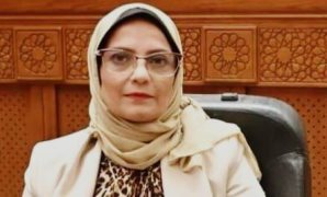 وزير التعليم العالى أمام الشيوخ: مصر تستعد لتطبيق نظام التعليم اليابانى "KOSEN"