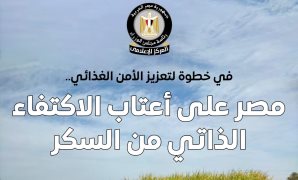 قانون التأمين الموحد يحدد أنواع وفروع التأمين.. تعرّف عليها