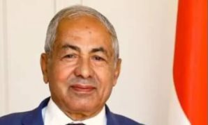 عضو أفريقية النواب: 30 يونيو ثورة ساهمت في إستعادة دور وثقل مصر الإقليمي والدولي والإفريقي