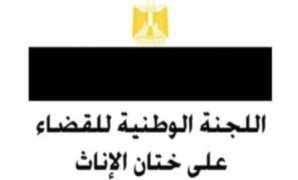 رئيس الوزراء يؤكد أهمية العمل على صياغة خارطة طريق لتعزيز نفاذ الدول النامية للتمويل الميسر ومنخفض التكلفة