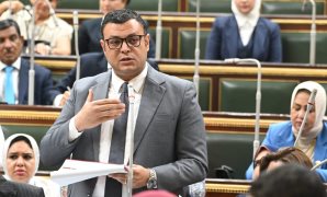 من له حق الطعن على قرارات الهيئة الوطنية للانتخابات أمام الإدارية العليا؟..فقيه دستوري يجيب  
