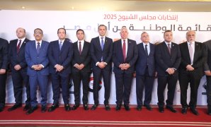 قرار جمهورى بتعيين أحمد سعد الشاذلي مستشاراً لرئيس الجمهورية للشئون المالية