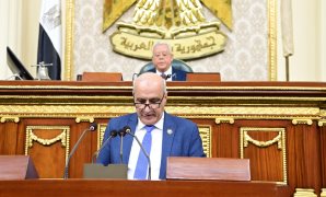 جانب من الجلسة العامة لمجلس النواب - اليوم