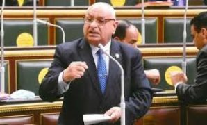 النائب محمد عبد الحكيم أبو زيد