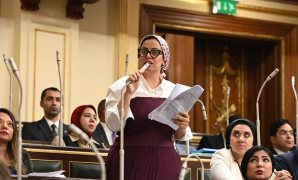 النائبة رشا كليب عضو مجلس النواب عن تنسيقية شباب الأحزاب والسياسيين