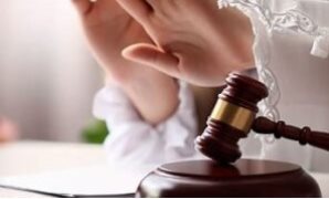 تعرف على آليات تمويل المشروعات الصغيرة في القانون    