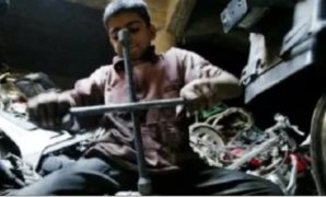 شهادة البكالوريا.. اختيار الطالب للنظام من أولى ثانوى وممنوع التحويل
