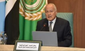 تعرف على موعد أول لجنة تستقبل المصريين بالخارج فى انتخابات الشيوخ