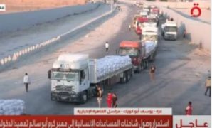 اللجنة الطبية بمجلس الوزراء تنقذ شابًا من خطر وشيك بجراحة عاجلة بالتعاون مع القصر العيني  