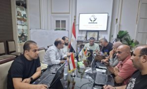 المصريون بالخارج يدلون بأصواتهم فى انتخابات مجلس الشيوخ 2025.. فيديو