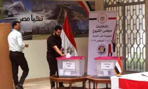 نشاط الرئيس السيسى فى النصف الثانى من يوليو.. كلمات هامة فى ذكرى ثورة 1952 والأوضاع فى غزة