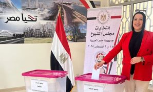انتخابات مجلس الشيوخ فى مينمار وكوريا وأستراليا دون مشاكل