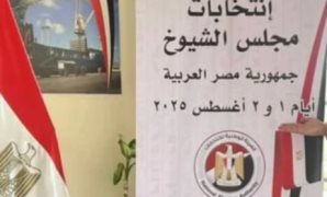 "الوفد" يشكل غرفة عمليات مركزية لمتابعة انتخابات مجلس الشيوخ بالداخل
