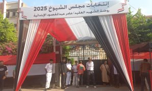 بدء التصويت بلجان الهرم فى أول أيام انتخابات مجلس الشيوخ 2025