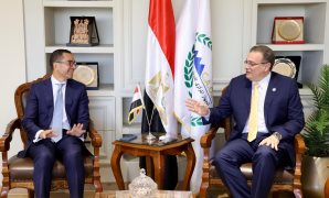 أستاذ علوم سياسية: الرئيس السيسى كشف زيف الحملات المشبوهة ضد مصر